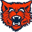 Evanston Township High School