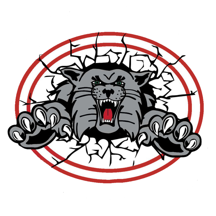 Canton South High School logo