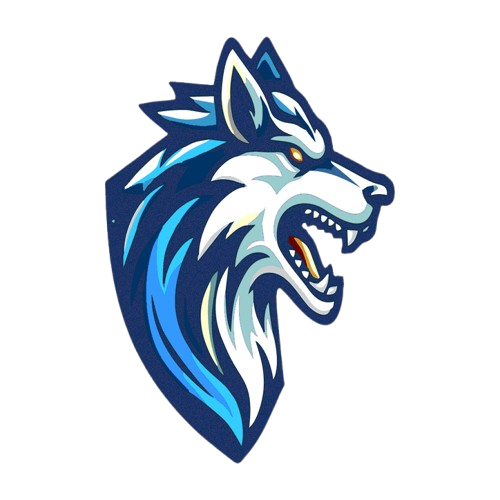 Loudon Sports Academy logo